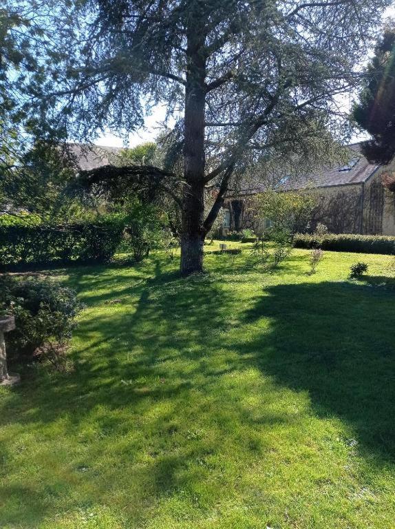 La Demeure Du Perron Quettehou Exterior foto