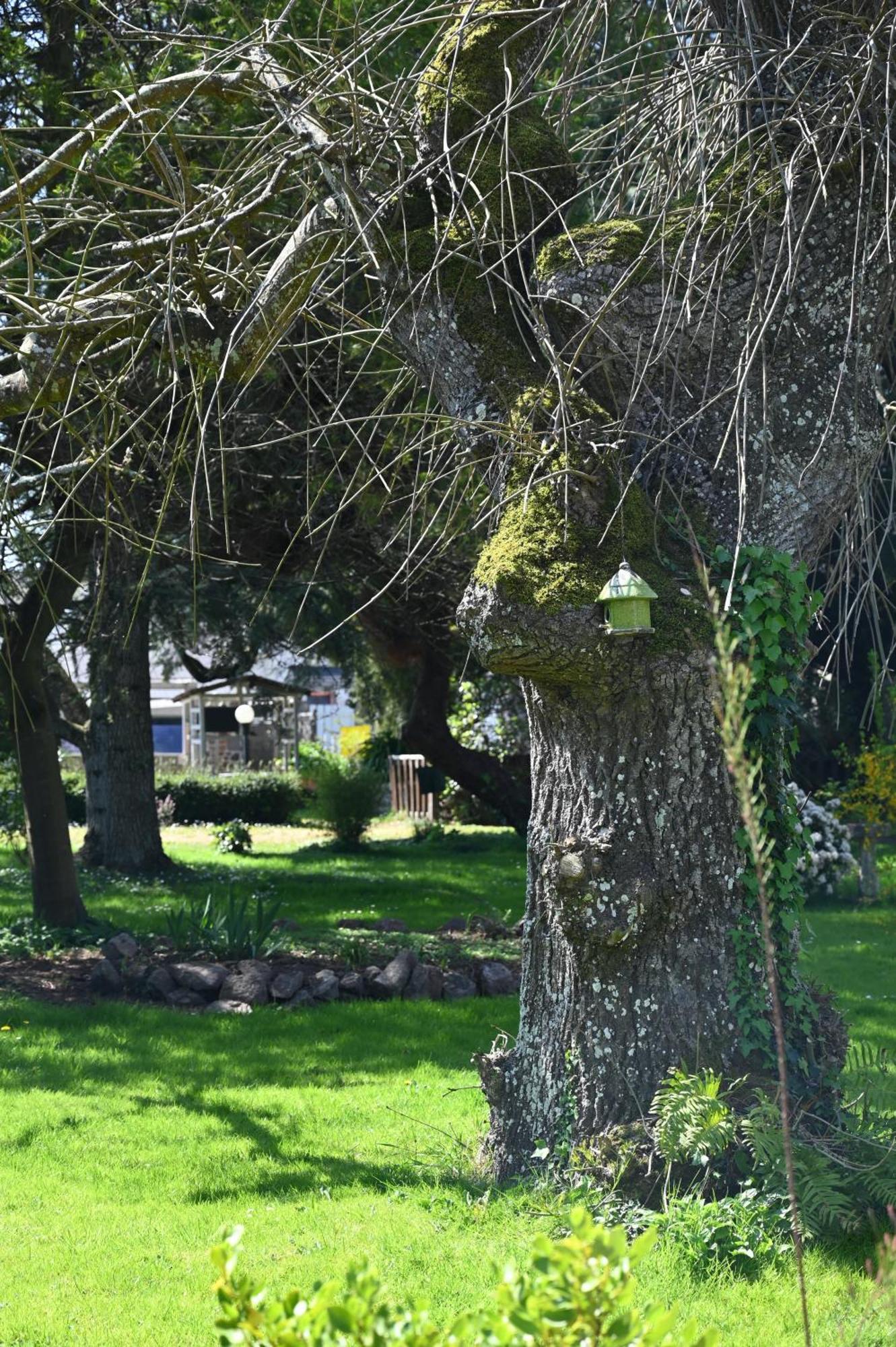 La Demeure Du Perron Quettehou Exterior foto